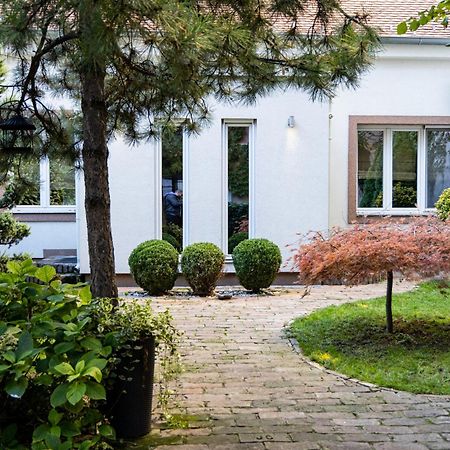 Green And Blue Garden Apartments ベオグラード エクステリア 写真